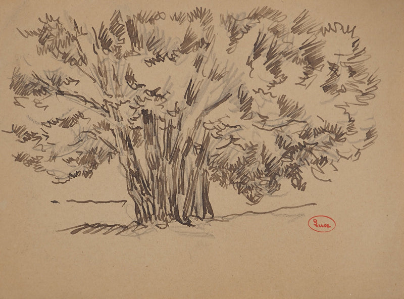 Maximilien LUCE : Arbres isolés, Dessin original (vue générale) - Crédit photo : Galerie Art.Paris