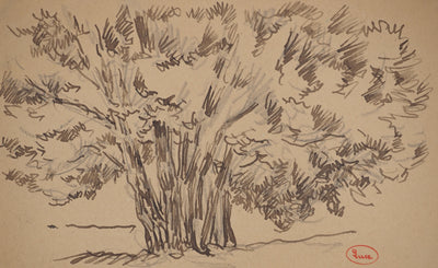 Maximilien LUCE : Arbres isolés, Dessin original (photo de détail 3) - Crédit photo : Galerie Art.Paris