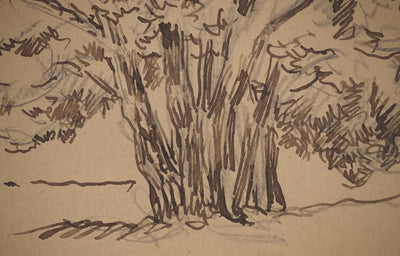 Maximilien LUCE : Arbres isolés, Dessin original (photo de détail 4) - Crédit photo : Galerie Art.Paris