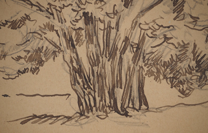 Maximilien LUCE : Arbres isolés, Dessin original (photo de détail 4) - Crédit photo : Galerie Art.Paris