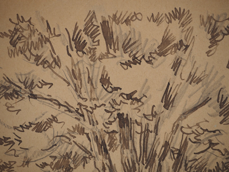 Maximilien LUCE : Arbres isolés, Dessin original (photo de détail 5) - Crédit photo : Galerie Art.Paris