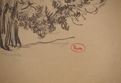 Maximilien LUCE : Arbres isolés, Dessin original (photo de détail 2) - Crédit photo : Galerie Art.Paris