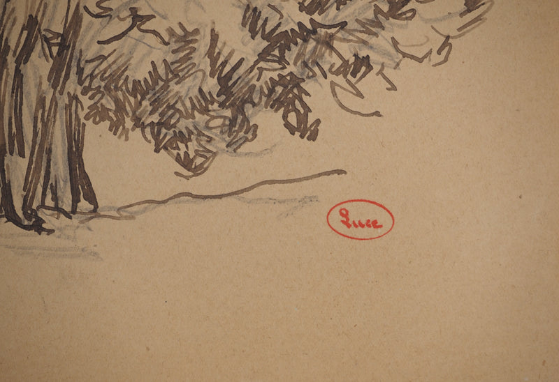Maximilien LUCE : Arbres isolés, Dessin original (photo de détail 2) - Crédit photo : Galerie Art.Paris