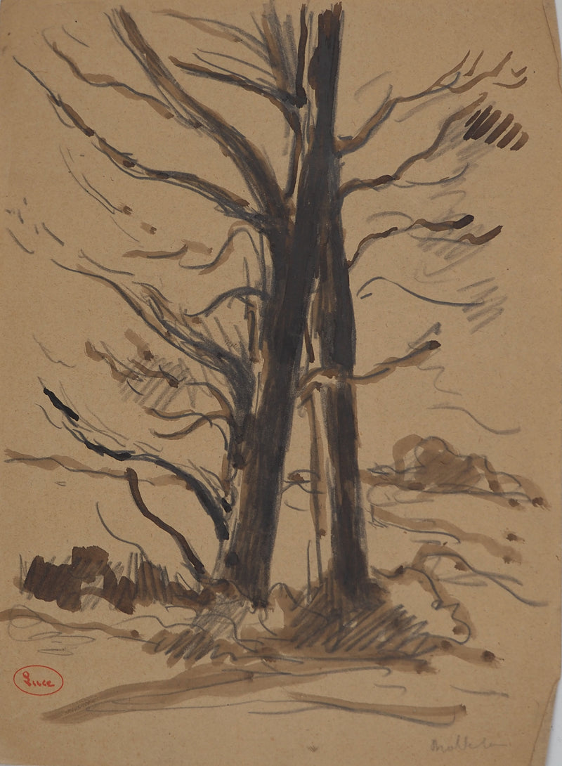 Maximilien LUCE : Les arbres dénudés, Dessin original (vue générale) - Crédit photo : Galerie Art.Paris