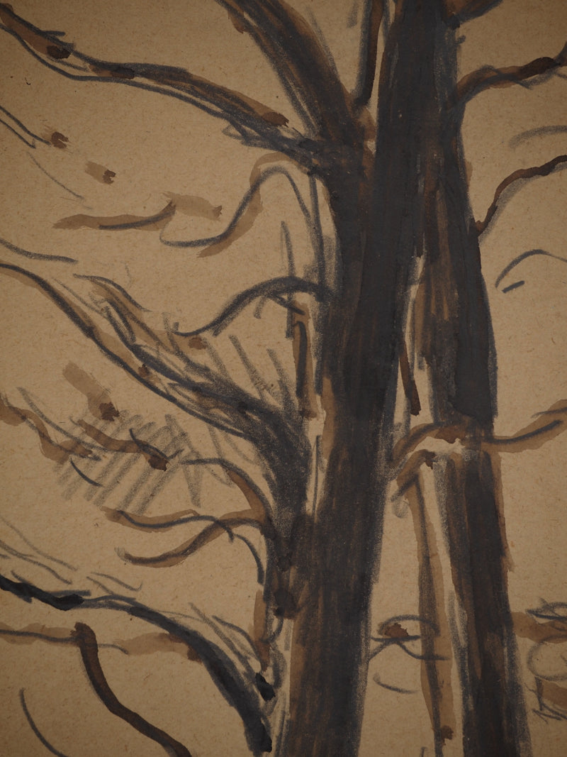 Maximilien LUCE : Les arbres dénudés, Dessin original (photo de détail 5) - Crédit photo : Galerie Art.Paris