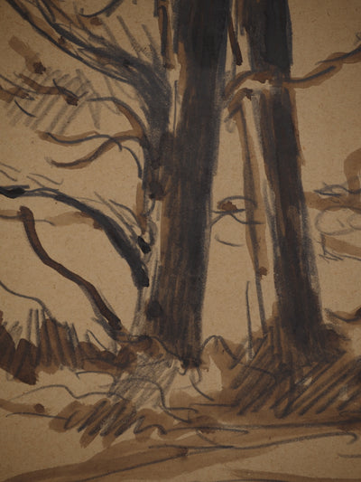 Maximilien LUCE : Les arbres dénudés, Dessin original (photo de détail 6) - Crédit photo : Galerie Art.Paris
