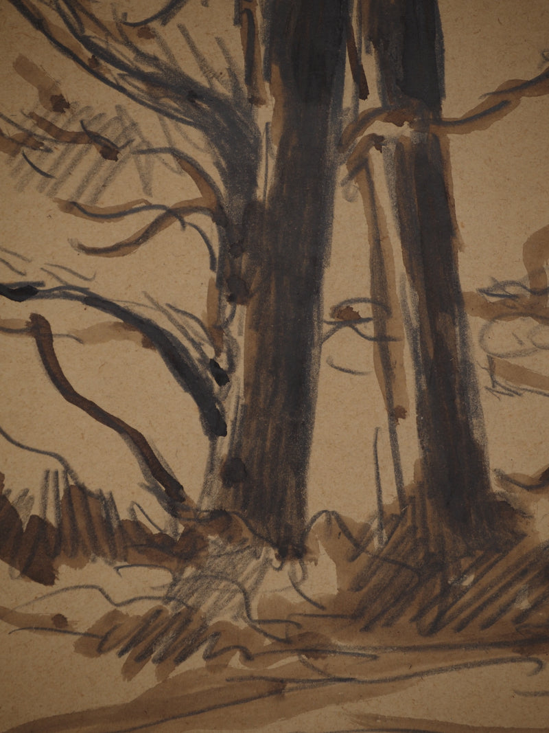 Maximilien LUCE : Les arbres dénudés, Dessin original (photo de détail 6) - Crédit photo : Galerie Art.Paris