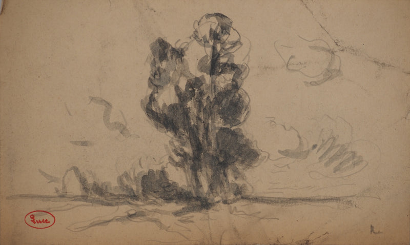 Maximilien LUCE : Arbre solitaire, Dessin original (vue générale) - Crédit photo : Galerie Art.Paris