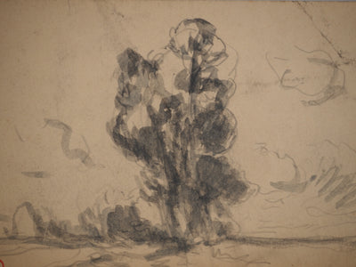 Maximilien LUCE : Arbre solitaire, Dessin original (photo de détail 3) - Crédit photo : Galerie Art.Paris