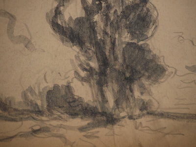 Maximilien LUCE : Arbre solitaire, Dessin original (photo de détail 4) - Crédit photo : Galerie Art.Paris