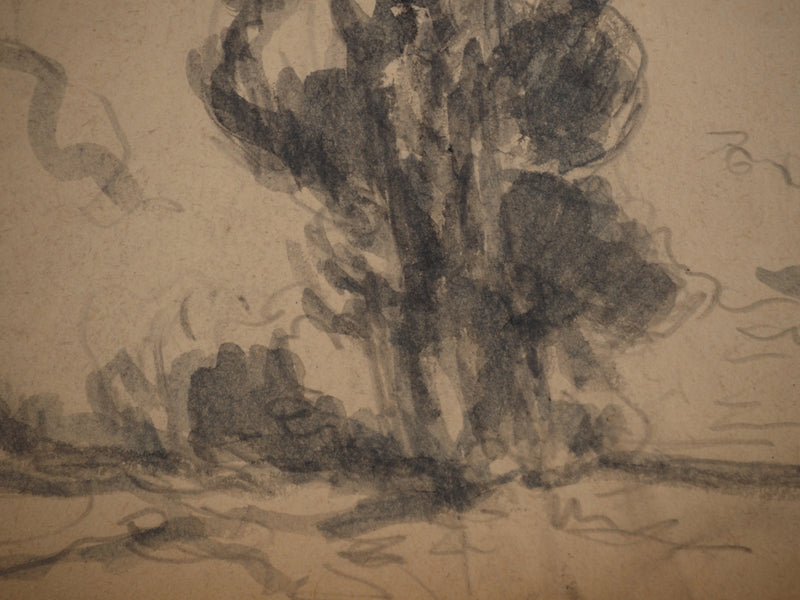 Maximilien LUCE : Arbre solitaire, Dessin original (photo de détail 4) - Crédit photo : Galerie Art.Paris
