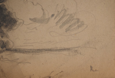 Maximilien LUCE : Arbre solitaire, Dessin original (photo de détail 6) - Crédit photo : Galerie Art.Paris