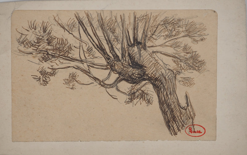 Maximilien LUCE : Le saule, Dessin original (vue générale) - Crédit photo : Galerie Art.Paris