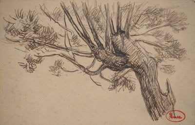 Maximilien LUCE : Le saule, Dessin original (photo de détail 3) - Crédit photo : Galerie Art.Paris