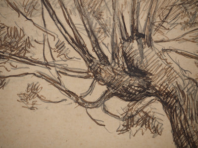 Maximilien LUCE : Le saule, Dessin original (photo de détail 4) - Crédit photo : Galerie Art.Paris