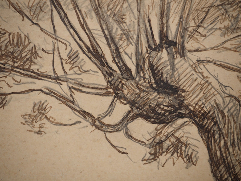 Maximilien LUCE : Le saule, Dessin original (photo de détail 4) - Crédit photo : Galerie Art.Paris