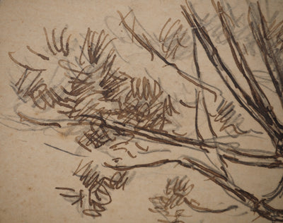 Maximilien LUCE : Le saule, Dessin original (photo de détail 5) - Crédit photo : Galerie Art.Paris
