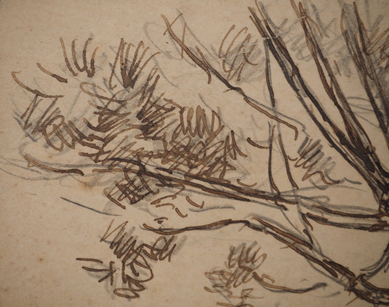 Maximilien LUCE : Le saule, Dessin original (photo de détail 5) - Crédit photo : Galerie Art.Paris