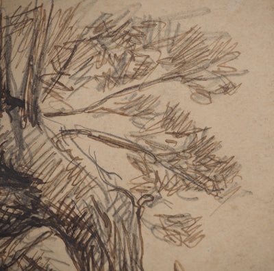 Maximilien LUCE : Le saule, Dessin original (photo de détail 6) - Crédit photo : Galerie Art.Paris