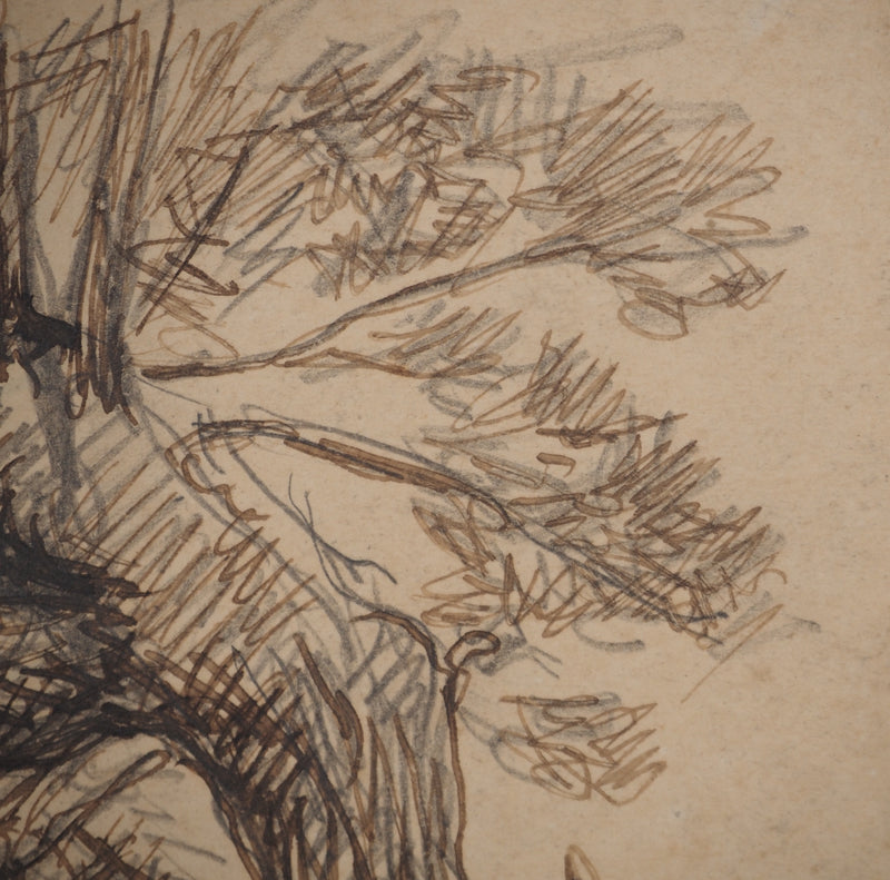 Maximilien LUCE : Le saule, Dessin original (photo de détail 6) - Crédit photo : Galerie Art.Paris