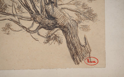Maximilien LUCE : Le saule, Dessin original (photo de détail 2) - Crédit photo : Galerie Art.Paris