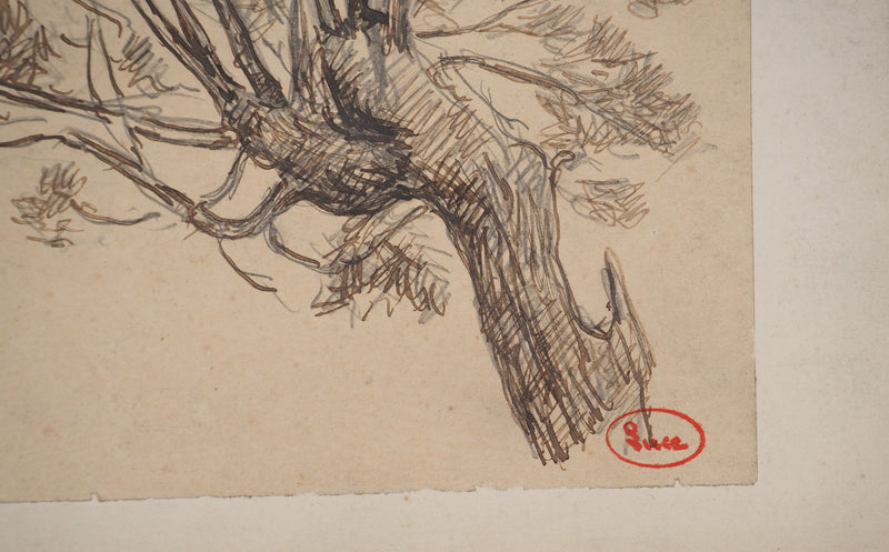 Maximilien LUCE : Le saule, Dessin original (photo de détail 2) - Crédit photo : Galerie Art.Paris