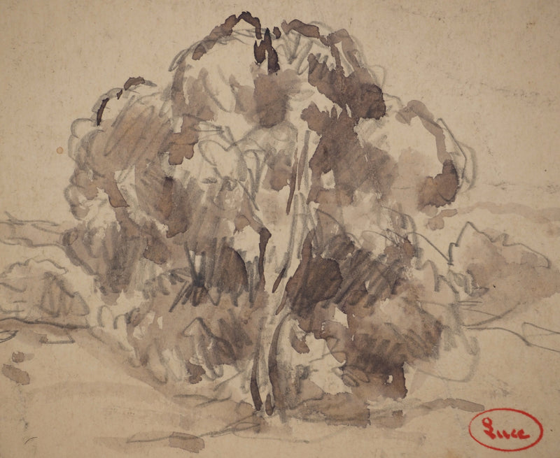Maximilien LUCE : Le vieux pommier, Dessin original (photo de détail 3) - Crédit photo : Galerie Art.Paris