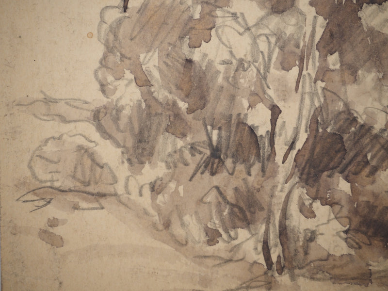 Maximilien LUCE : Le vieux pommier, Dessin original (photo de détail 4) - Crédit photo : Galerie Art.Paris