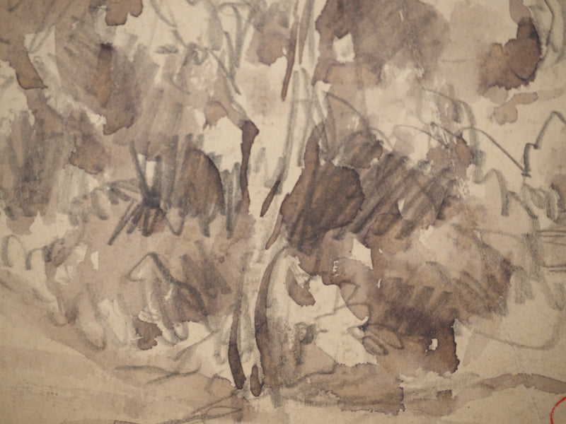 Maximilien LUCE : Le vieux pommier, Dessin original (photo de détail 6) - Crédit photo : Galerie Art.Paris