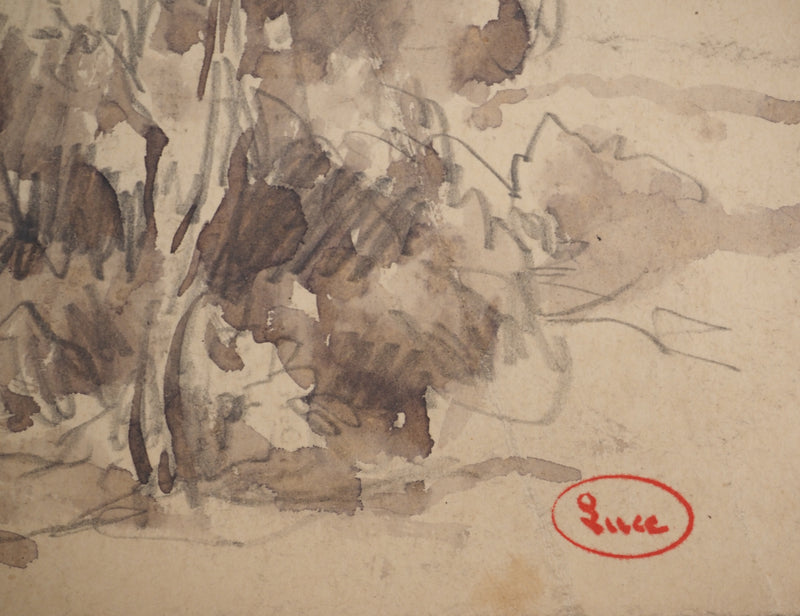 Maximilien LUCE : Le vieux pommier, Dessin original (photo de détail 2) - Crédit photo : Galerie Art.Paris