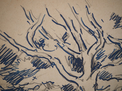 Maximilien LUCE : Etude d'un chêne, Dessin original (photo de détail 4) - Crédit photo : Galerie Art.Paris