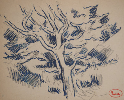 Maximilien LUCE : Etude d'un chêne, Dessin original (photo de détail 3) - Crédit photo : Galerie Art.Paris