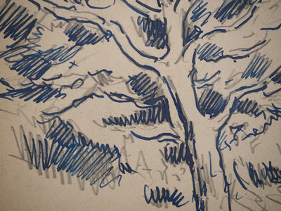 Maximilien LUCE : Etude d'un chêne, Dessin original (photo de détail 5) - Crédit photo : Galerie Art.Paris