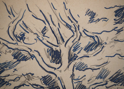 Maximilien LUCE : Etude d'un chêne, Dessin original (photo de détail 6) - Crédit photo : Galerie Art.Paris