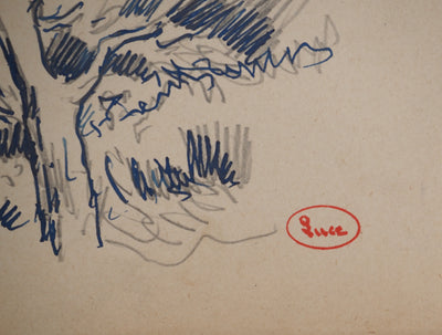 Maximilien LUCE : Etude d'un chêne, Dessin original (photo de détail 2) - Crédit photo : Galerie Art.Paris