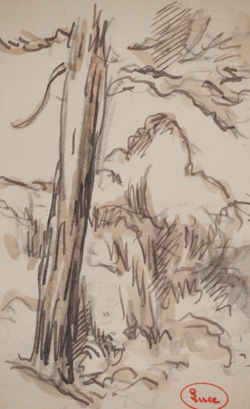 Maximilien LUCE : Printemps, Dessin original (photo de détail 3) - Crédit photo : Galerie Art.Paris