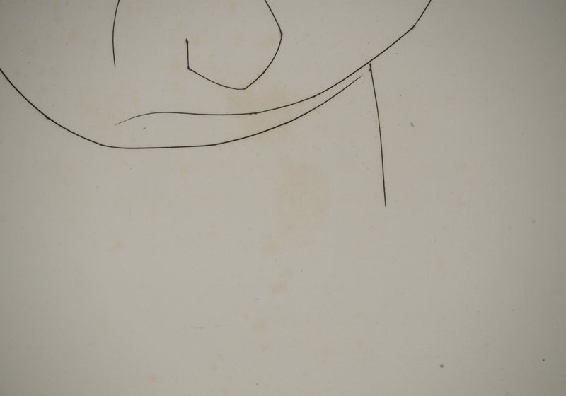 Pablo PICASSO : Carmen, le masque d&
