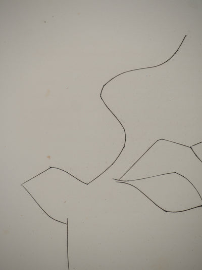 Pablo PICASSO : Carmen, le taurea, Gravure originale (photo de détail 5) - Crédit photo : Galerie Art.Paris