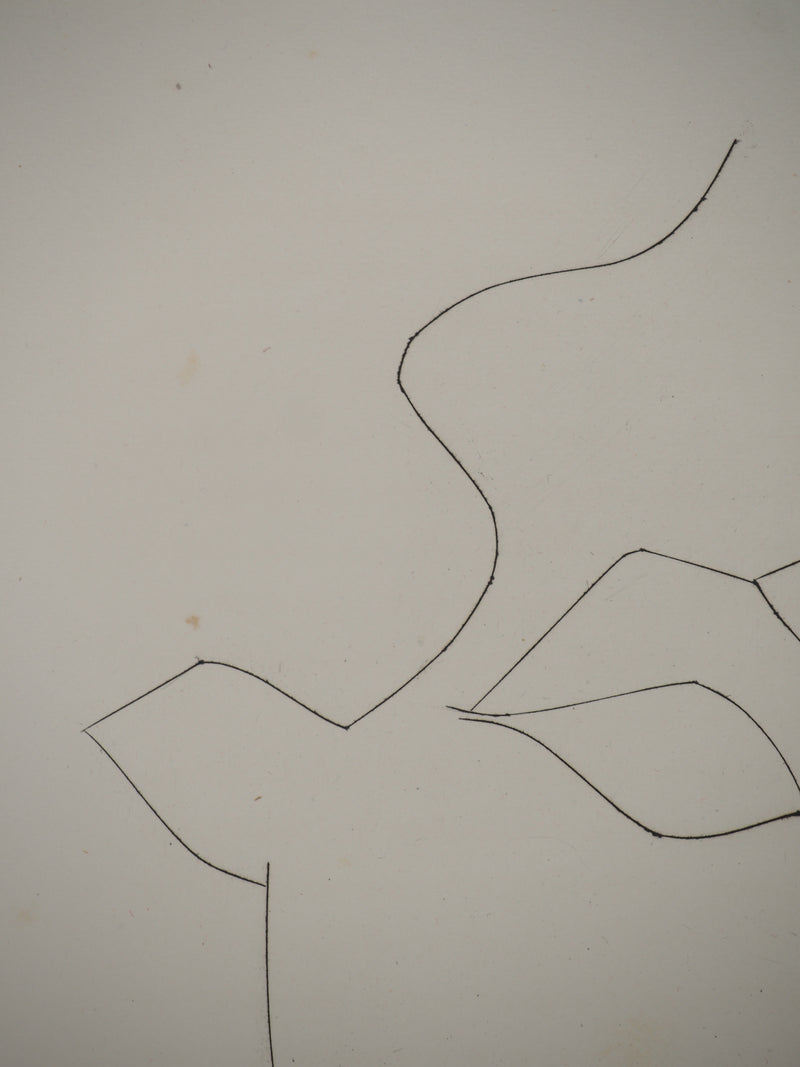 Pablo PICASSO : Carmen, le taurea, Gravure originale (photo de détail 5) - Crédit photo : Galerie Art.Paris