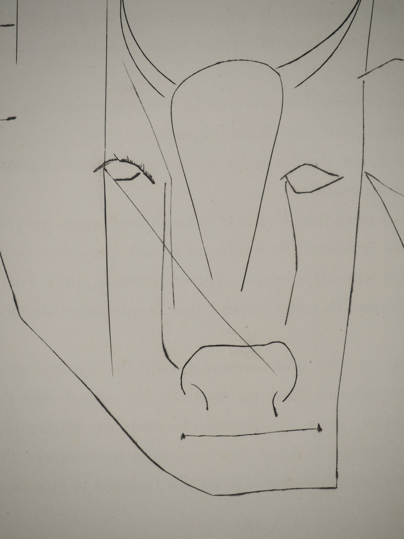 Pablo PICASSO : Carmen, les cornes du taurea, Gravure originale (photo de détail 6) - Crédit photo : Galerie Art.Paris