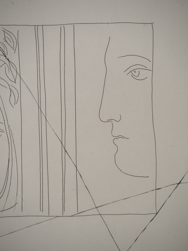 Pablo PICASSO : Métamorphoses d&