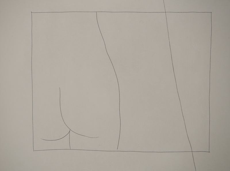 Pablo PICASSO : Métamorphoses d&