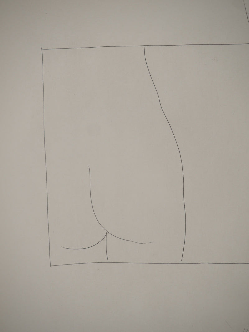 Pablo PICASSO : Métamorphoses d&
