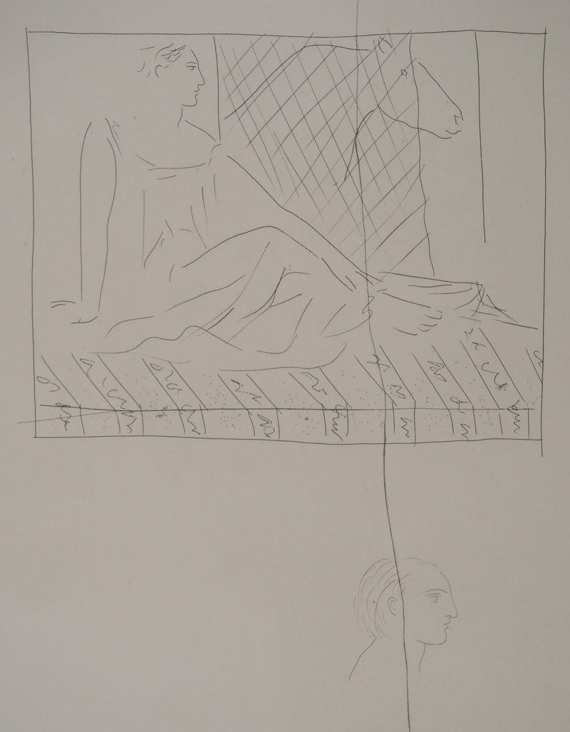 Pablo PICASSO : Métamorphoses d&