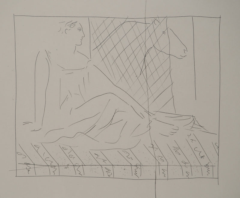 Pablo PICASSO : Métamorphoses d&