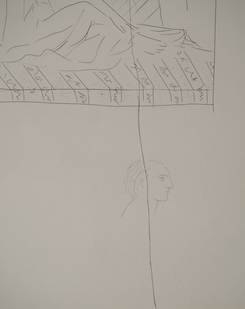 Pablo PICASSO : Métamorphoses d&