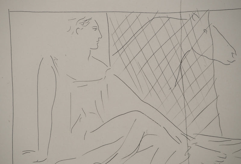 Pablo PICASSO : Métamorphoses d&