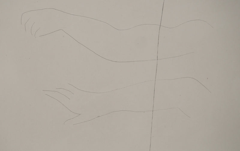 Pablo PICASSO : Métamorphoses d&