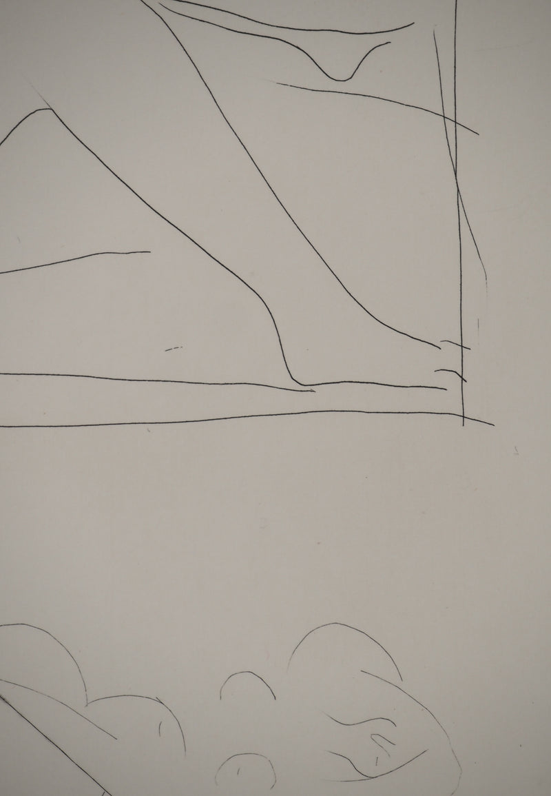 Pablo PICASSO : Métamorphoses d&