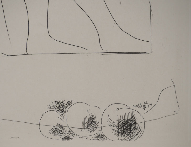 Pablo PICASSO : Métamorphoses d&